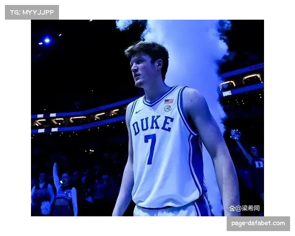 克努佩尔三分命中率37% 投射稳定性支撑黄蜂进攻